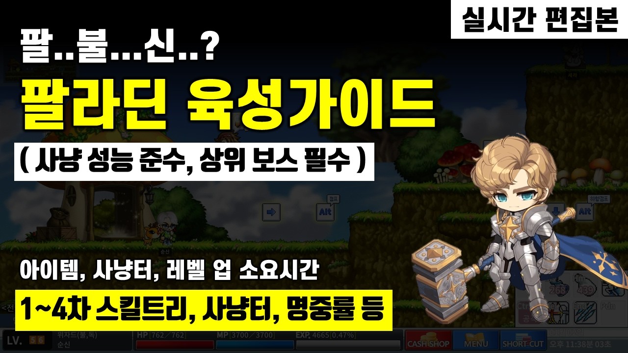 로나월드 - 팔라딘 육성 가이드 ( 스킬트리, 템 세팅, 사냥터, 명중률 등 )