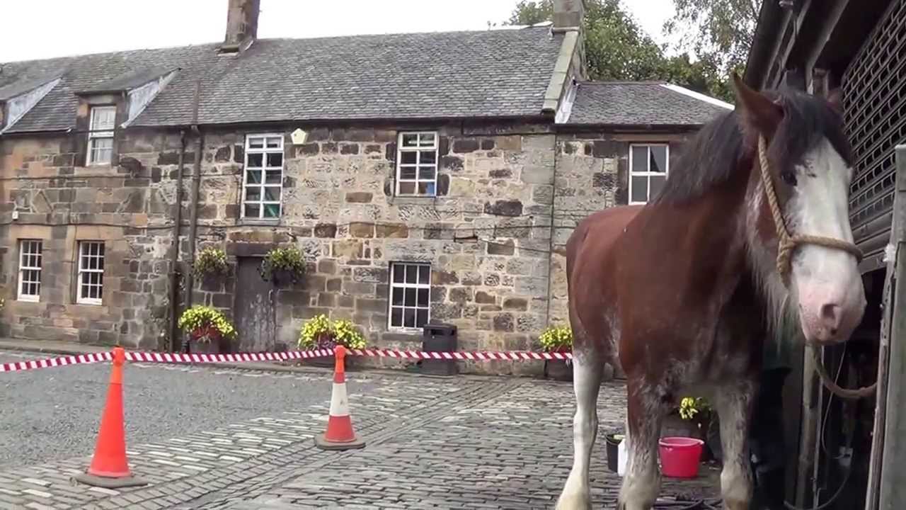 Pollock Park & Glasgow's Clydesdales HD