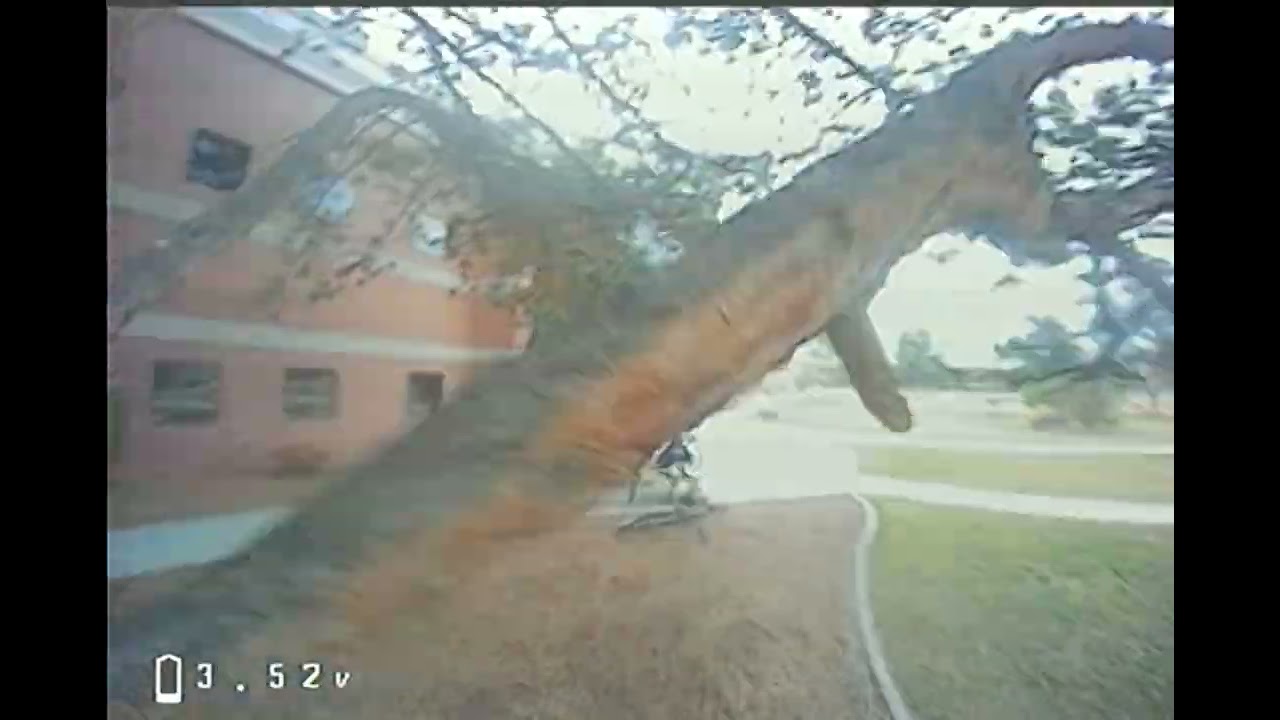 Fpv whooping tree