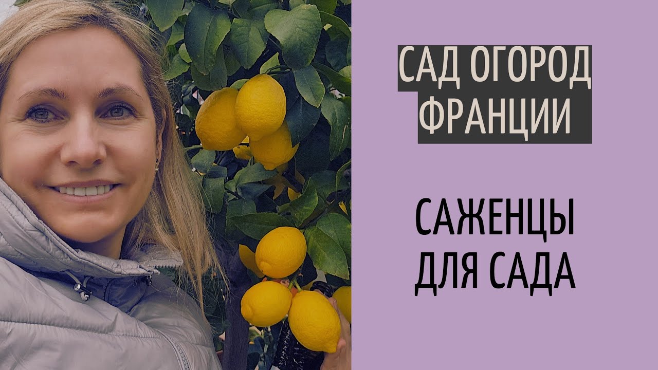 сад огород во Франции | выбираем деревья в садовом центре в Швейцарии