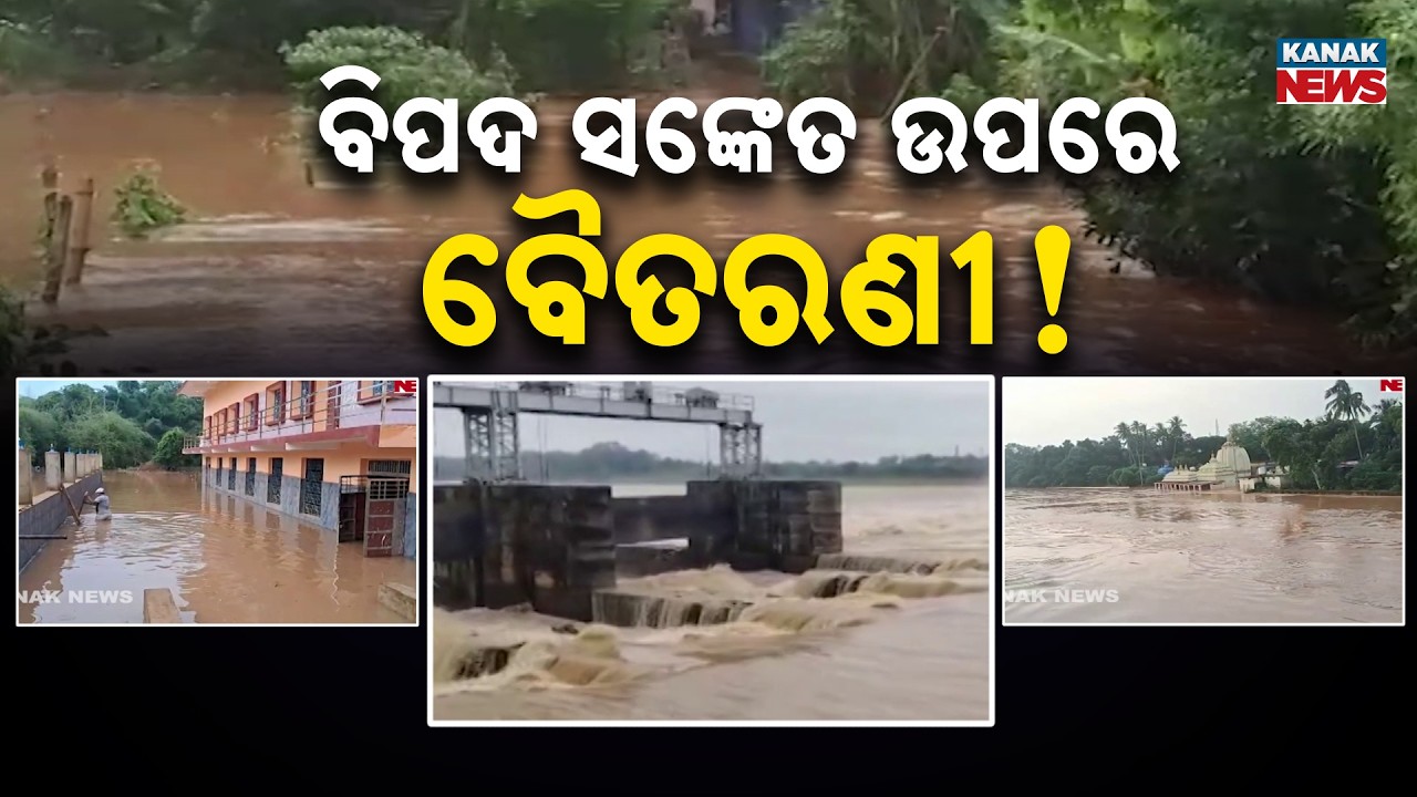 ବିପଦ ସଙ୍କେତ ଉପରେ ବୈତରଣୀ | Flood Alert in Odisha! Baitarani Rises Above Danger Level