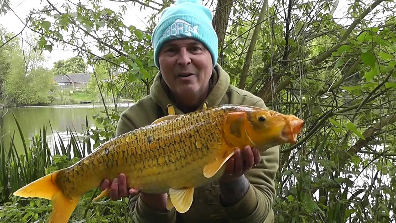 Carp fishing The Secret Pool