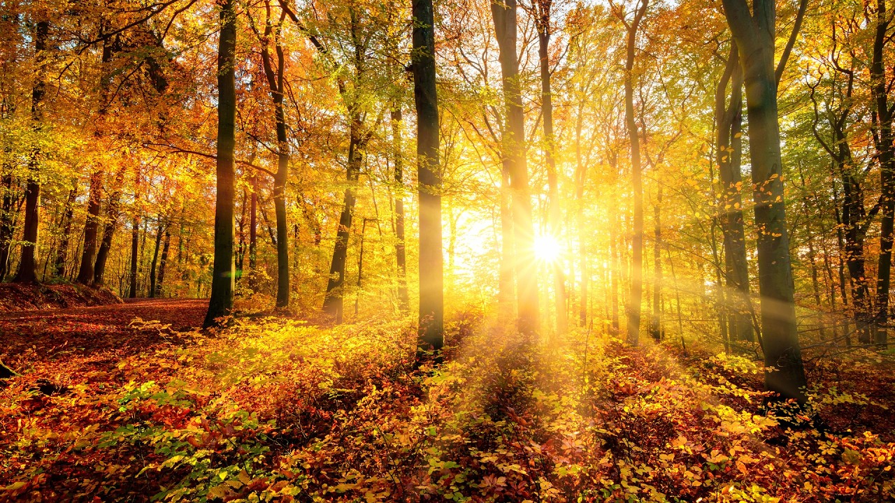 Beautiful Traditional Hymns, Peaceful Music, 