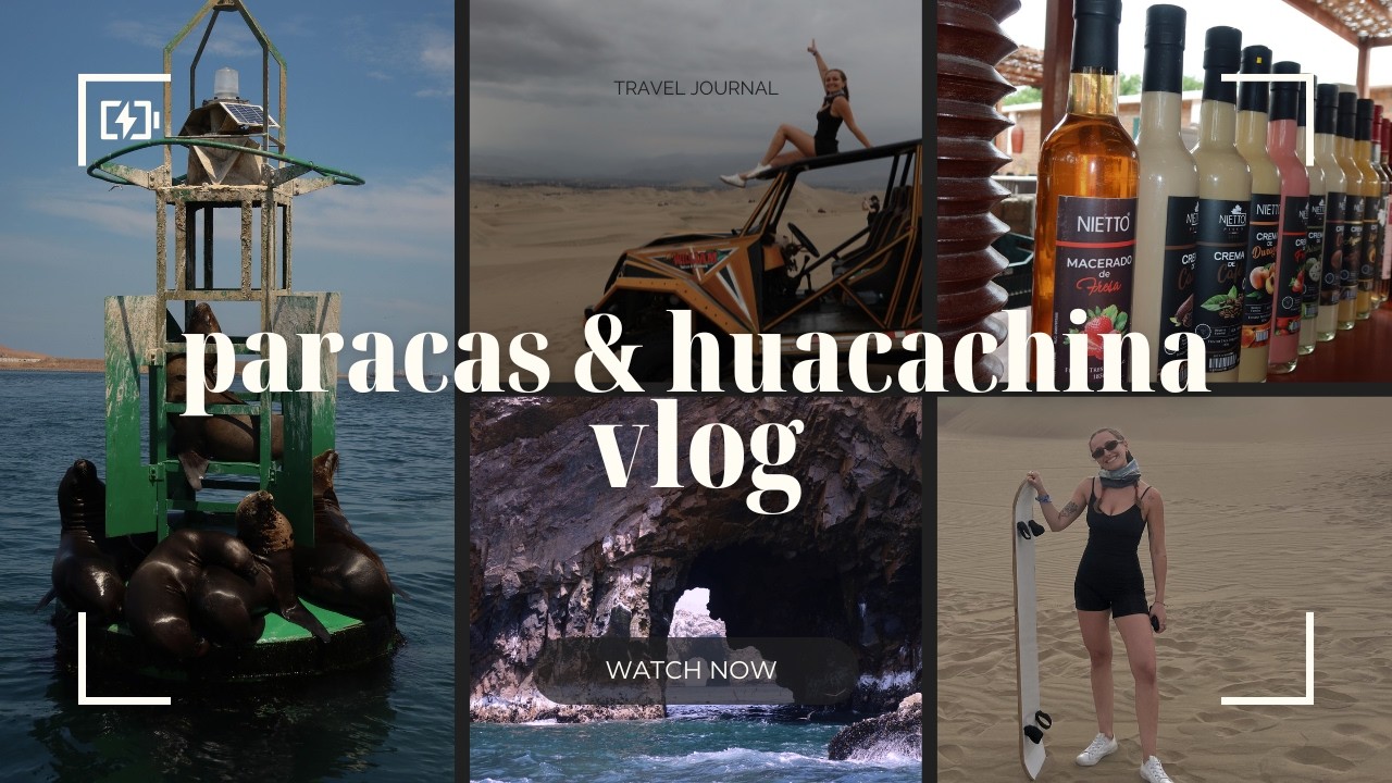 so many sea lions, wine & pisco and sandboarding in paracas & huacachina, peru 🇵🇪