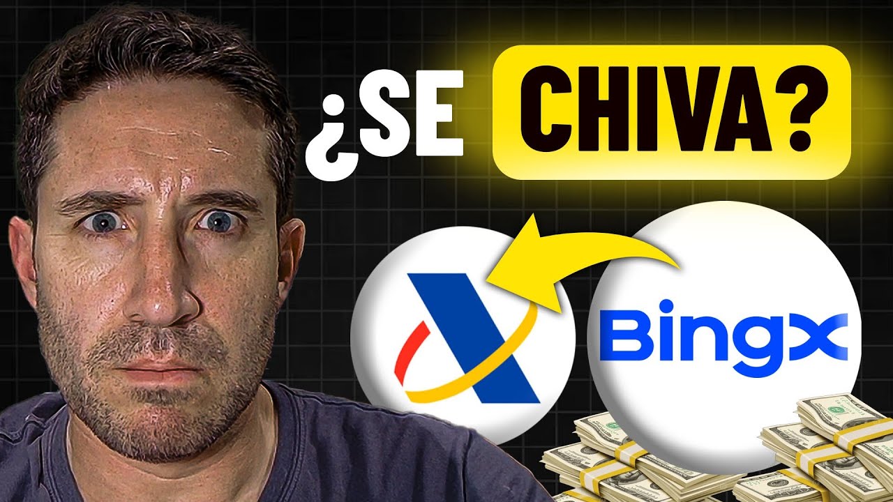 BingX le informa a HACIENDA en ESPA&Ntilde;A?! La VERDAD