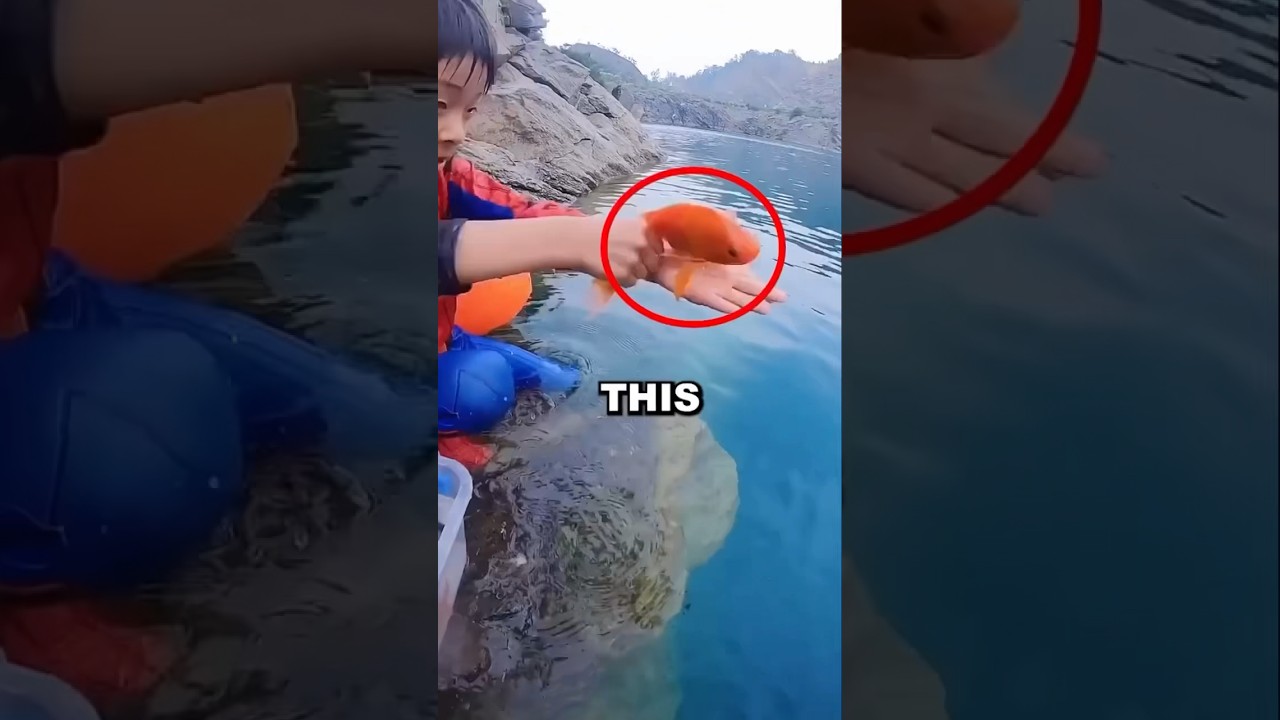 RELEASING BEST FRIEND! #cute #pets #love #animals