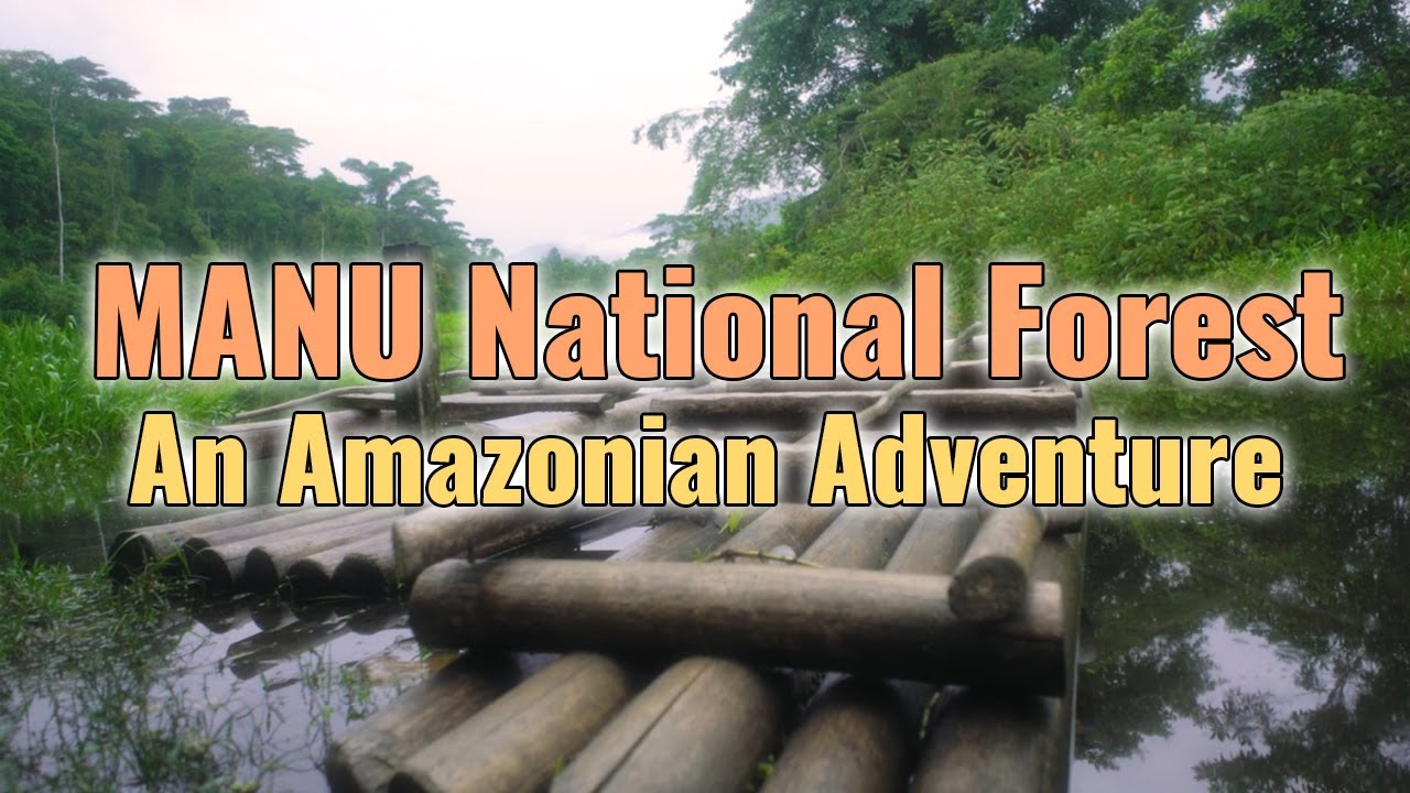 Manu National Forest: A Humid Adventure in the Amazon.