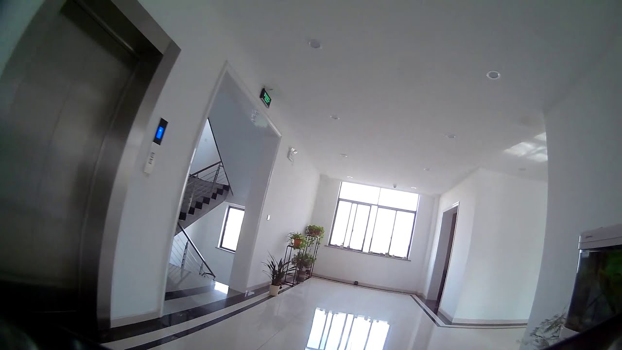 Happymodel Larva-X HD whoop mode footage