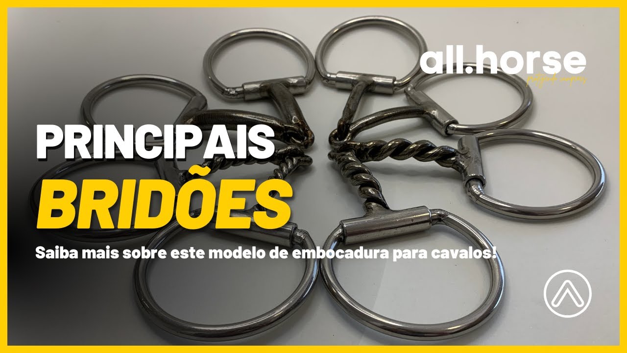 Bridões | Saiba mais sobre este modelo de embocadura!