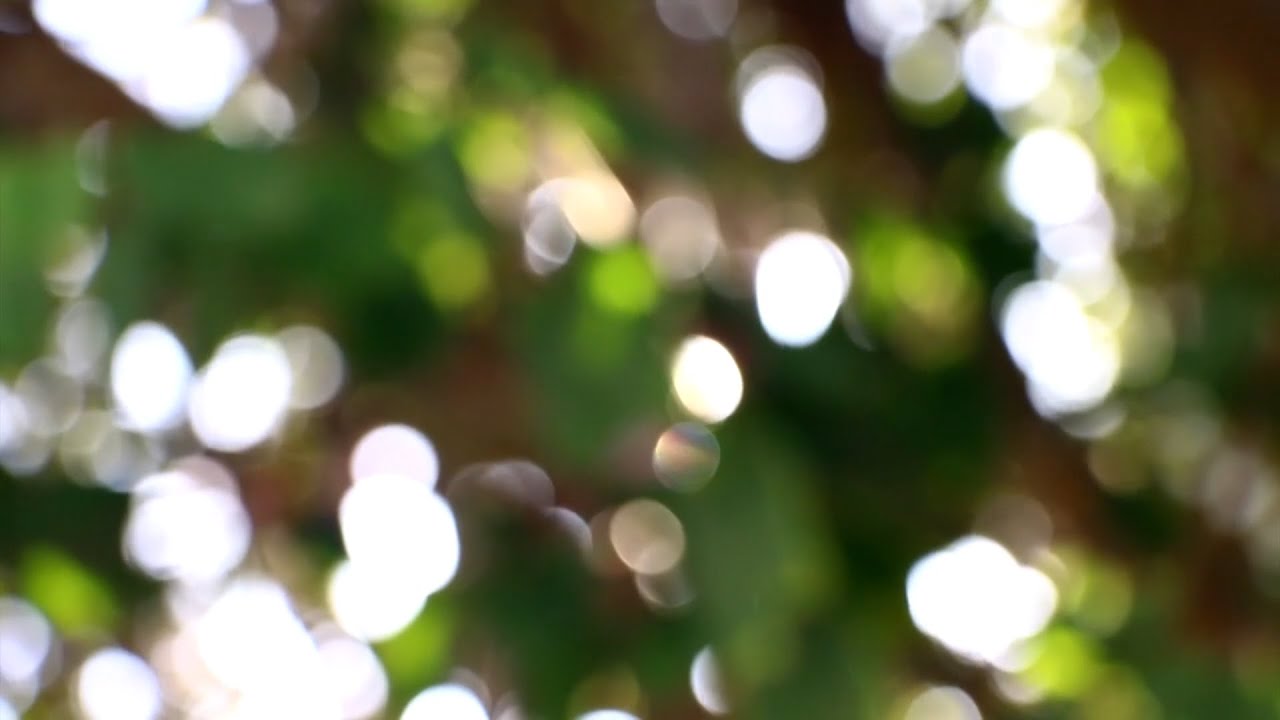 Meditative and Hypnotic Drone Sound // Meditasyon M&uuml;ziği