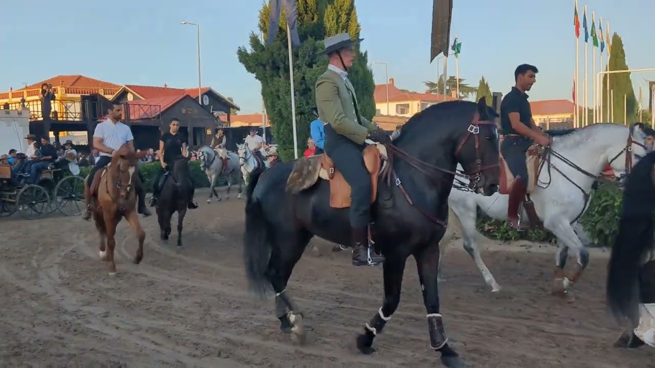 Golega horse fair 2024