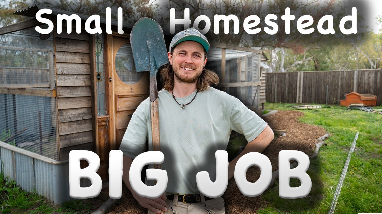 ВЫ БЫ ТАК СДЕЛАЛИ? Как я продуктивно работаю на своём маленьком участке