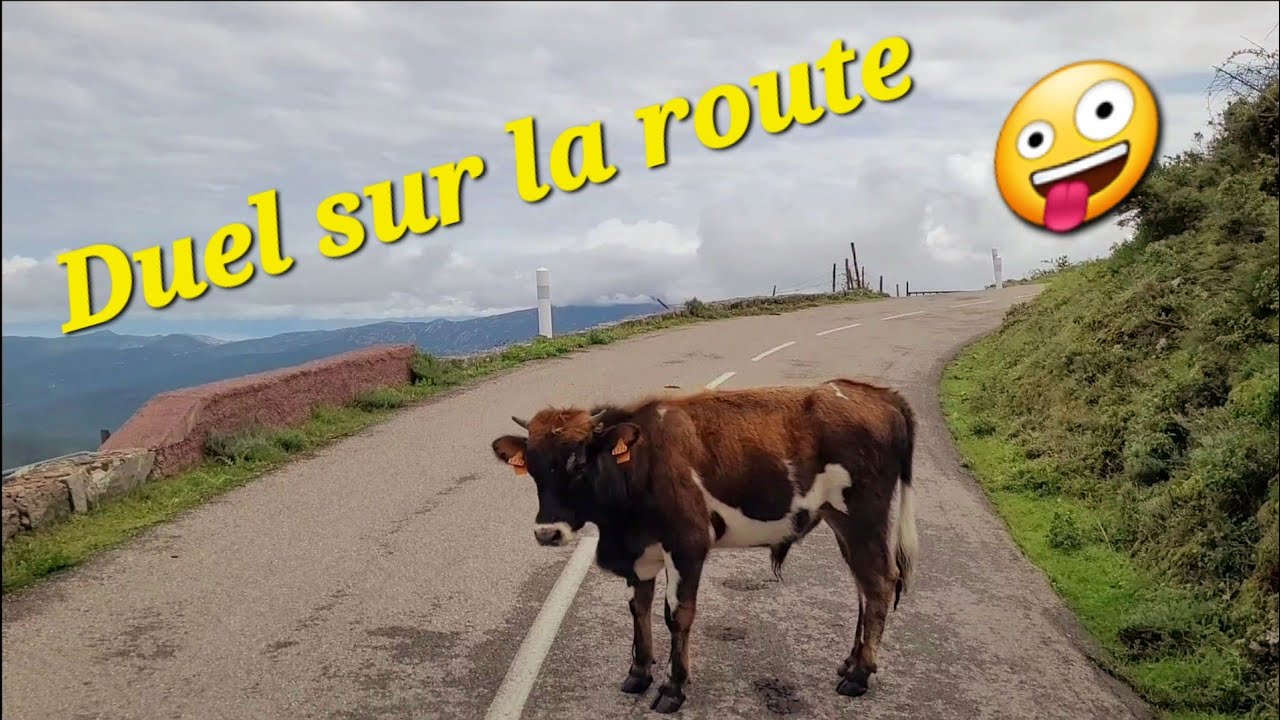 # 176 #corse #campingcar#nomade #vanlife épisode 4 La montagne ça vous gagne