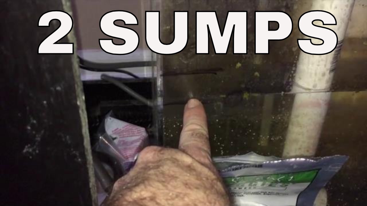 two sumps for one aquarium - water bridge