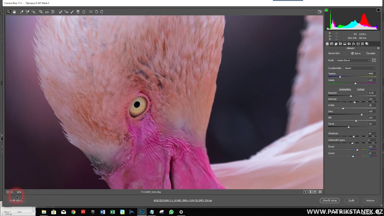 Patrik Staněk - základy práce s Camera RAW