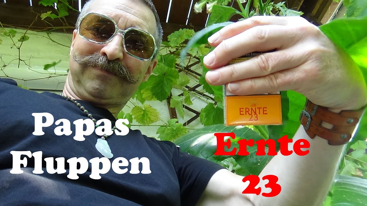 Papas Fluppen Ernte 23