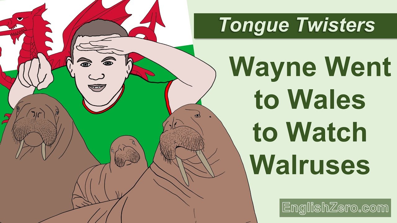 Tongue Twister 12- Wayne Went to Wales to Watch Walruses
