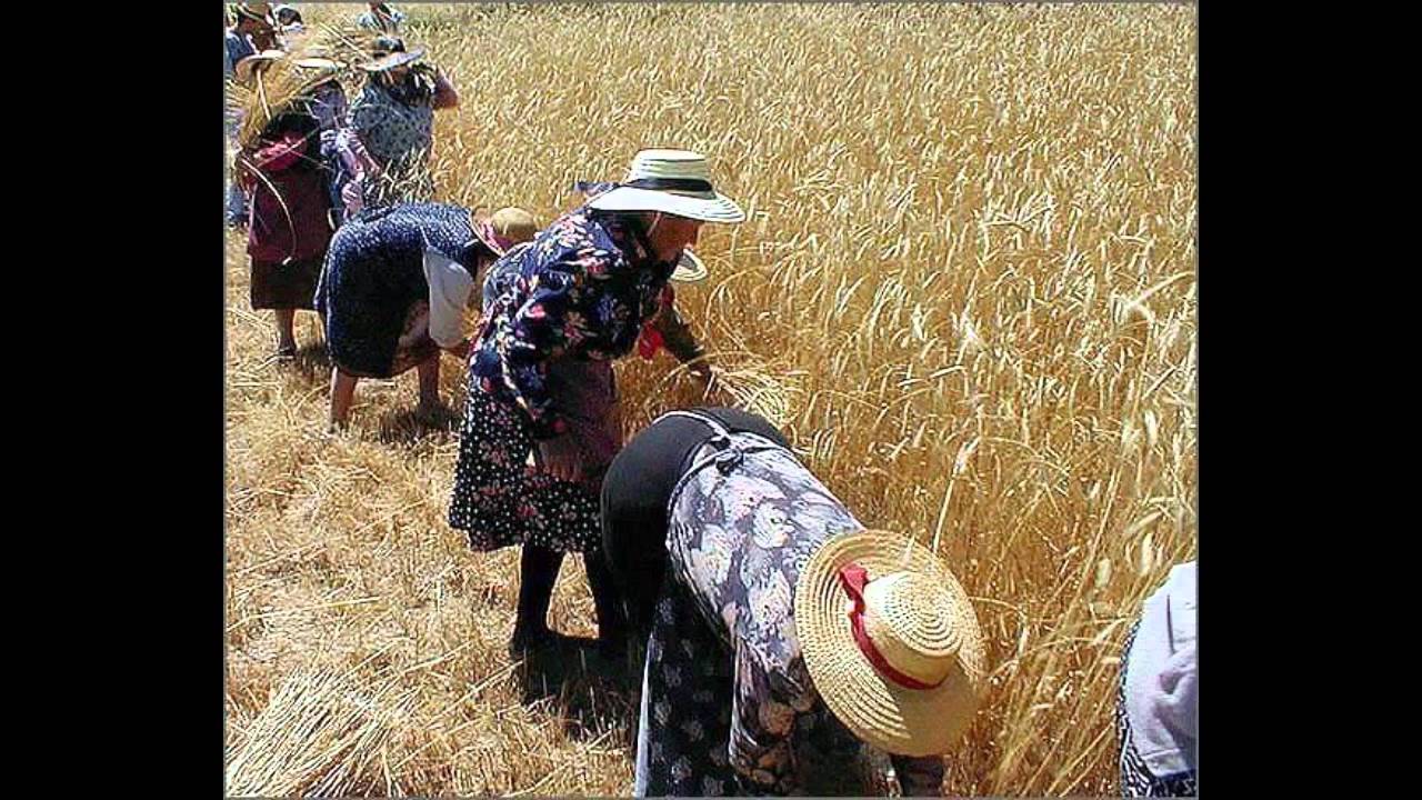 Cantadeiras da ARPIFSS ÉVORA - Chapéu Preto