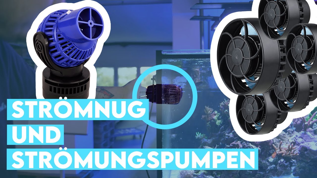 Korallenfarm Backstage - Strömungspumpen und Strömung