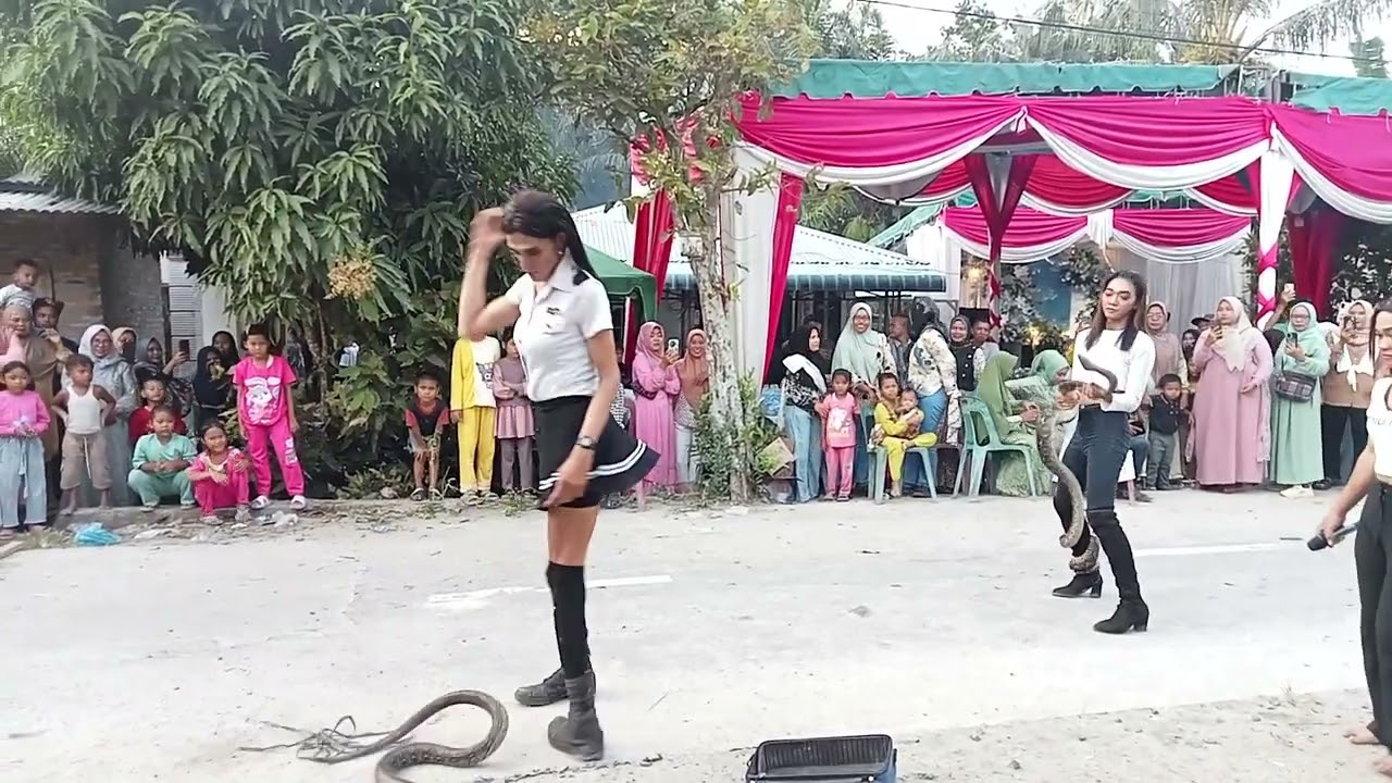 atraksi tali ular ||  kibot AD prodactions live di gambus laut batu bara..sumut ( cover)