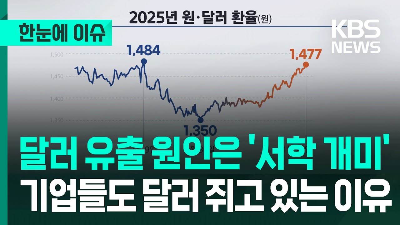 [한눈에 이슈] 달러 유출 원인은 '서학 개미', 기업들도 달러 쥐고 있는 이유 / KBS 2025.11.25.