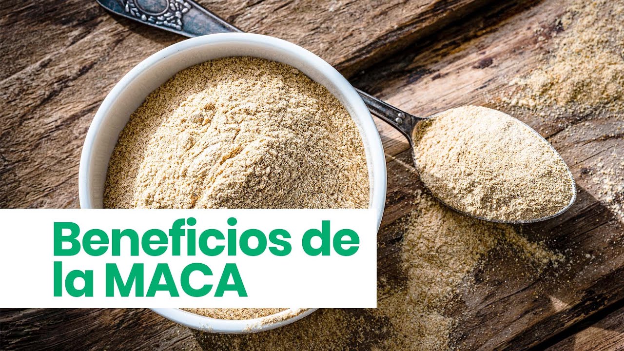 ¿Conoces la MACA y sus beneficios para la SALUD? 💛
