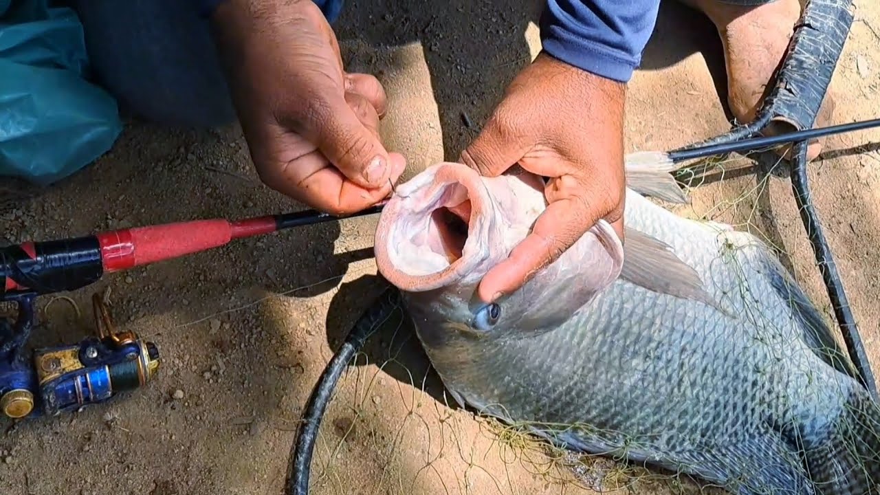 Pescaria nessa represa é o sonho de todo pescador! Aqui têm gigantes de mais de 10 kg