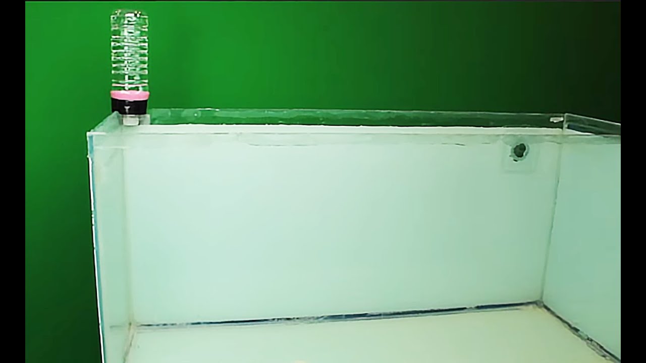 HOW TO: CHEAP and EASY aquarium auto top off TUTORIAL