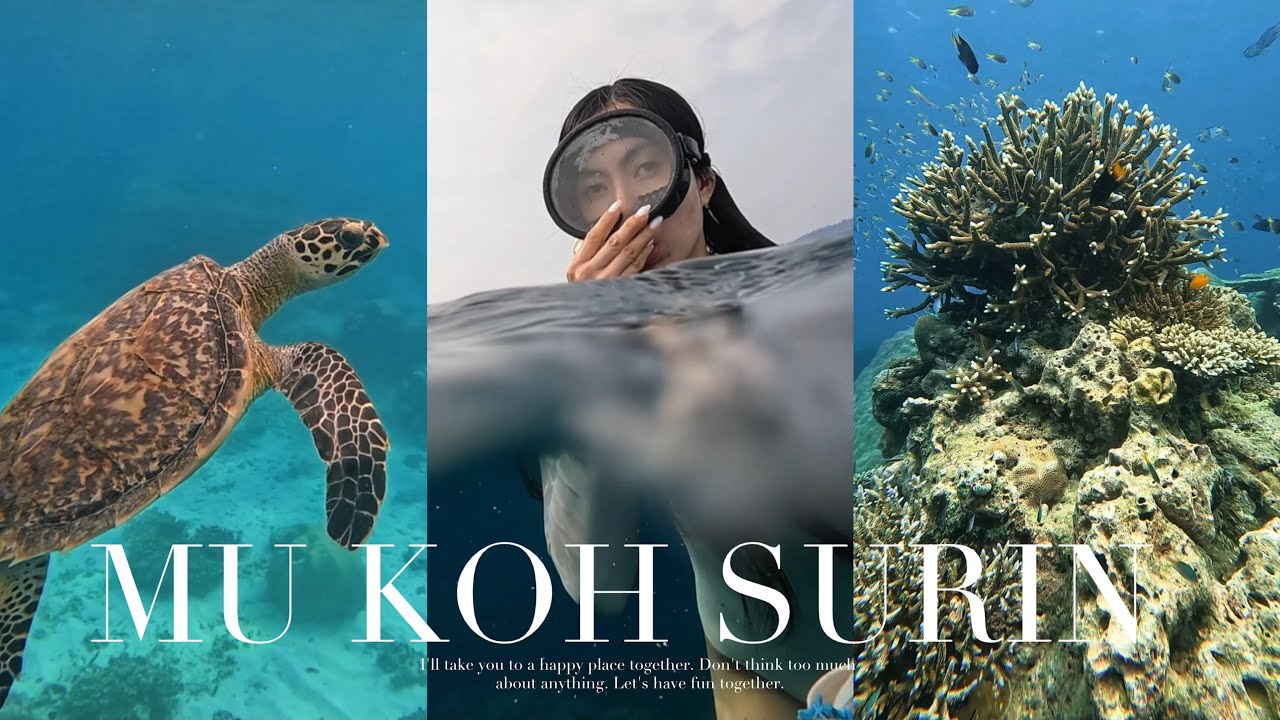 vlog ดำน้ำในตู้ปลา อ่าวสุเทพ สวยจึ้งมากกกกก #หมู่เกาะสุรินทร์  จ.พังงา 🪸🐠🌊🌅 | My Story EP.63