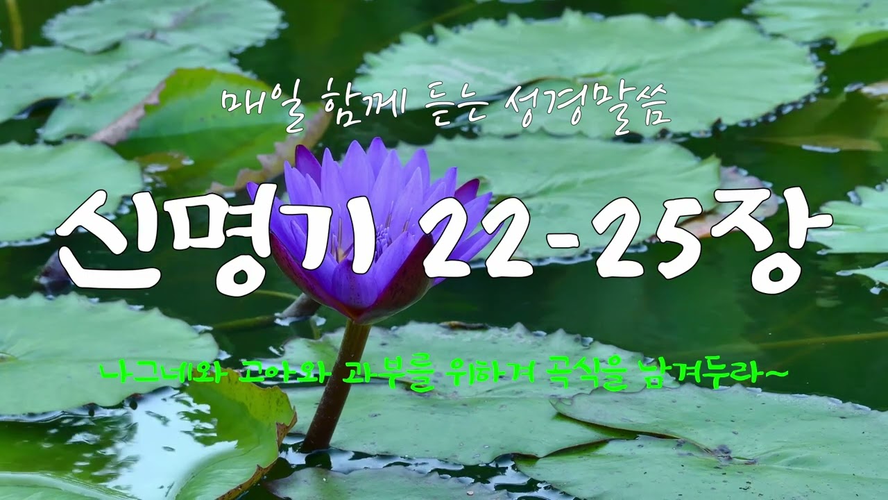 신명기 22-25장 (개역개정) 매일 듣는 365일 성경통독