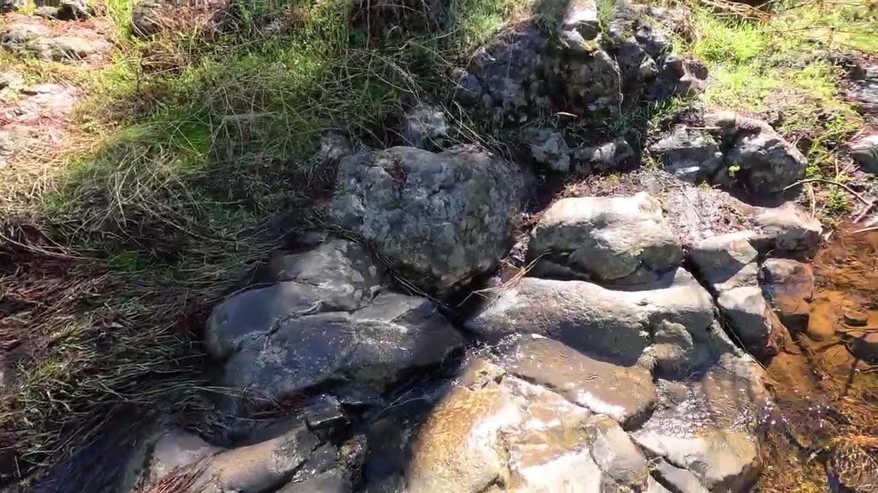 ASMR Caminando por la Montaña