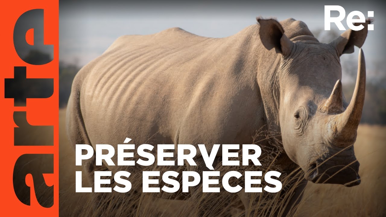 Biodiversité et protection des espèces | Reportage | ARTE Regards