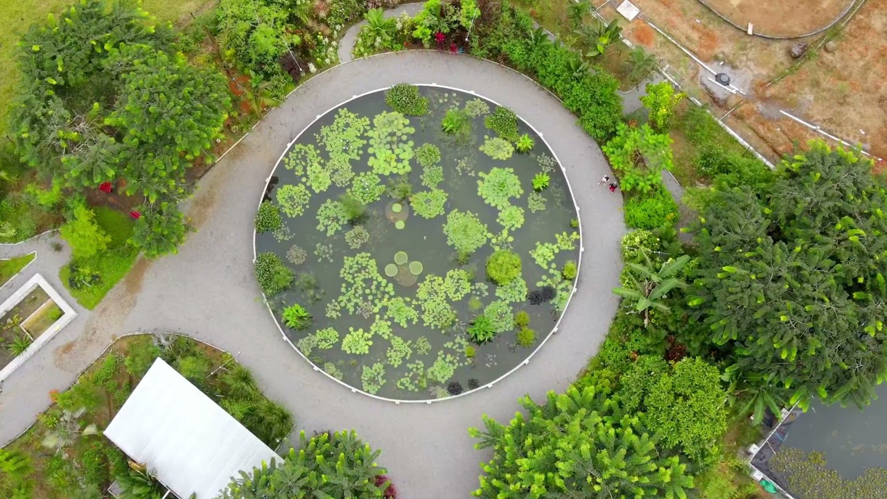 Jardín Botánico Lajas Adentro