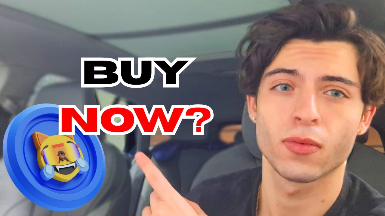 WARNING: This Is When The Next Mog Coin Rally Starts! (Very Important)
