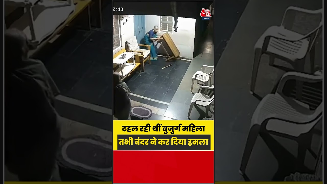 टहल रही थीं बुजुर्ग महिला, तभी बंदर ने कर दिया हमला | #MonkeyAttack #ViralVideo #Shorts