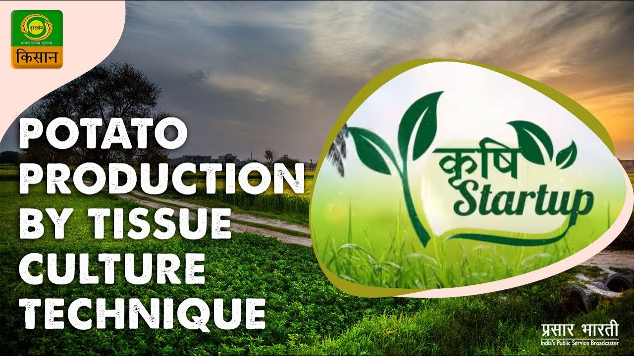 Krishi Start Up : Tissue Culture - Potato | Episode - 01