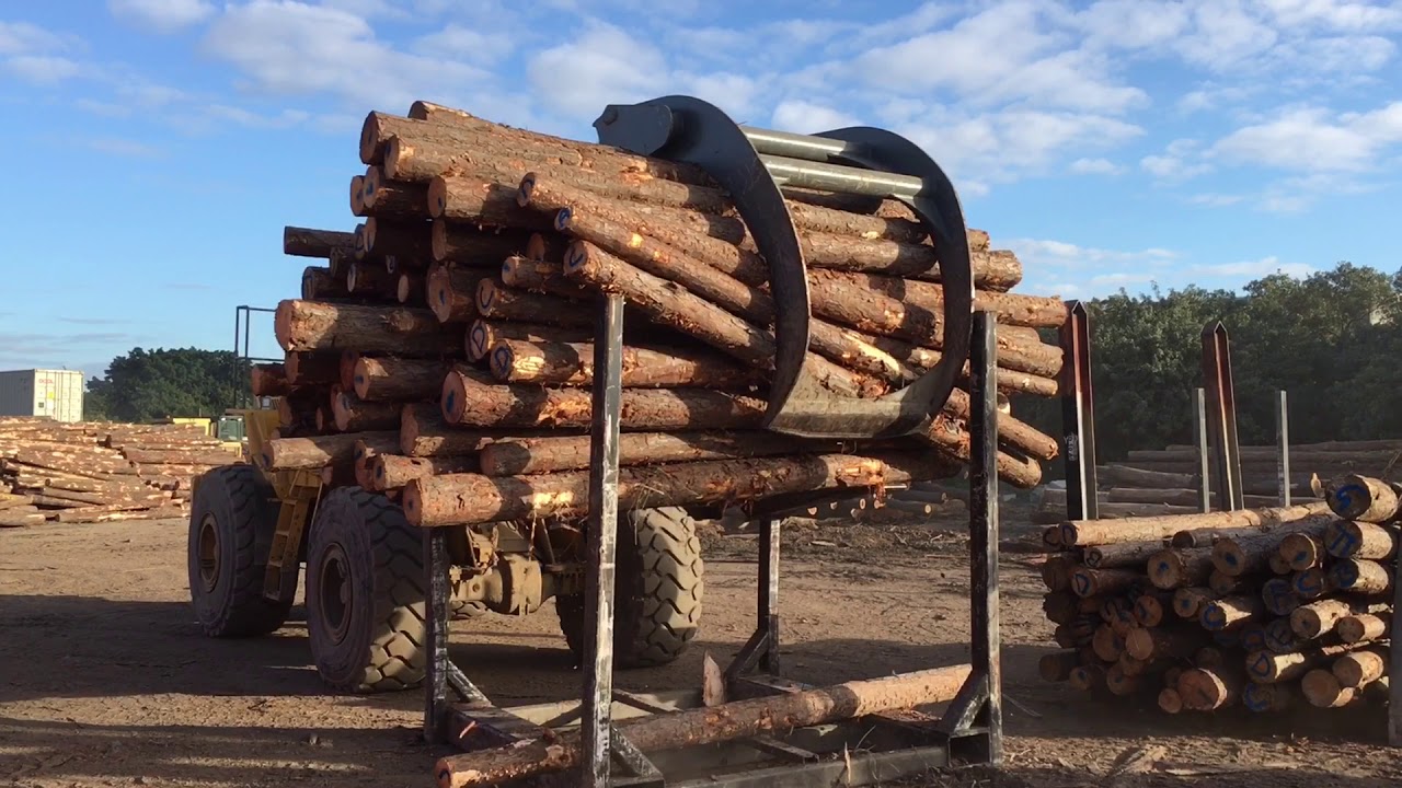 Log Export Packing - near Port of Brisbane