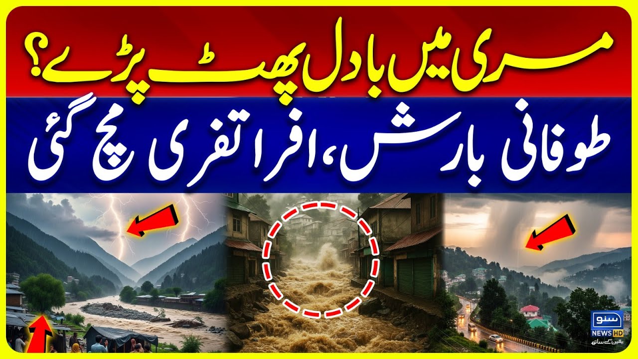 Murree Weather Alert: Heavy Rain and Storm Cause Widespread Chaos | Breaking News | Suno News HD