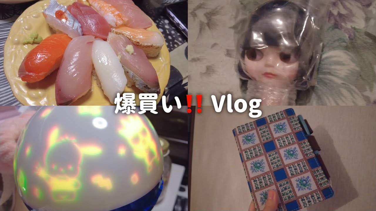 【Vlog】これ以降のVlogはすべて爆買いの記録になります【躁鬱☆彡衝動買い】