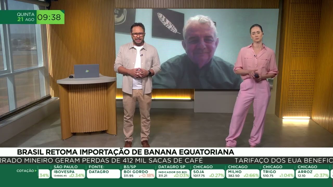 Brasil retoma importação de banana equatoriana