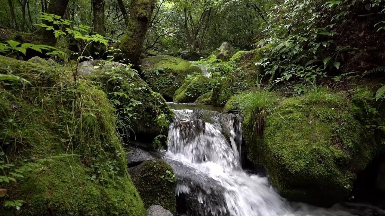 Water Sound 1 hours full HD