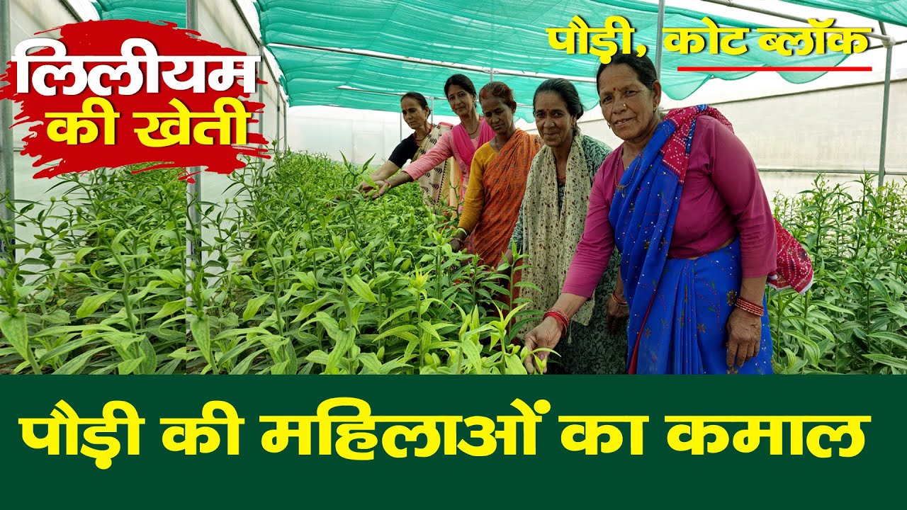 Pauri की 7 महिलाओं का कमाल | Foreign Flower, Local Power | lilium की खेती से खोले रोजगार के द्वार।