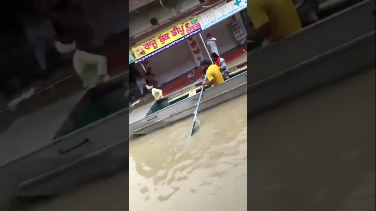 Bhikhi district Mansa #flood  #heavyrain #boating #emergency #waterfall #update #news #punjab #pb31