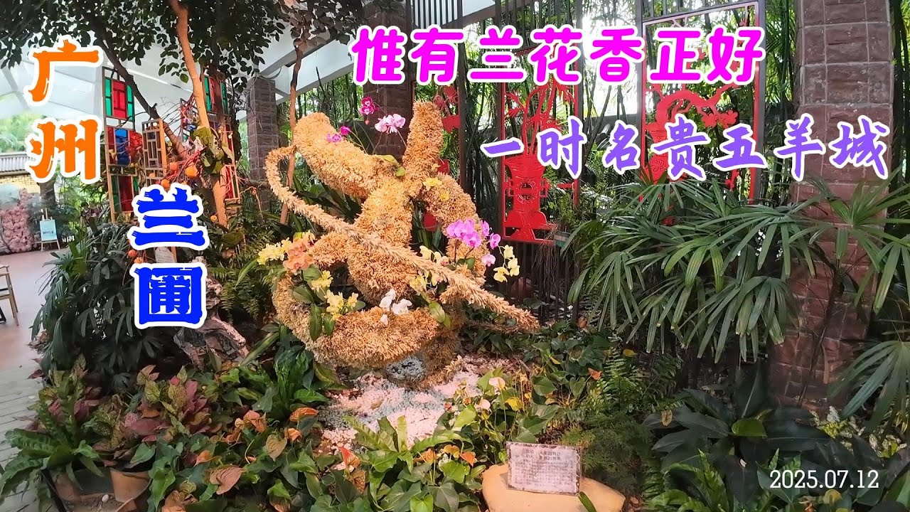 【广州好去处】兰圃  隐于闹市的兰花秘境 一园看尽芝兰风华 Orchid Garden Guangzhou China