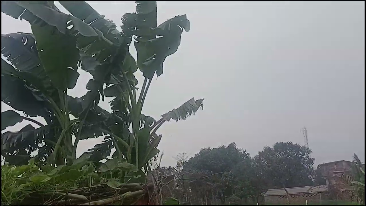 अपना खेत घूमने गए थे 