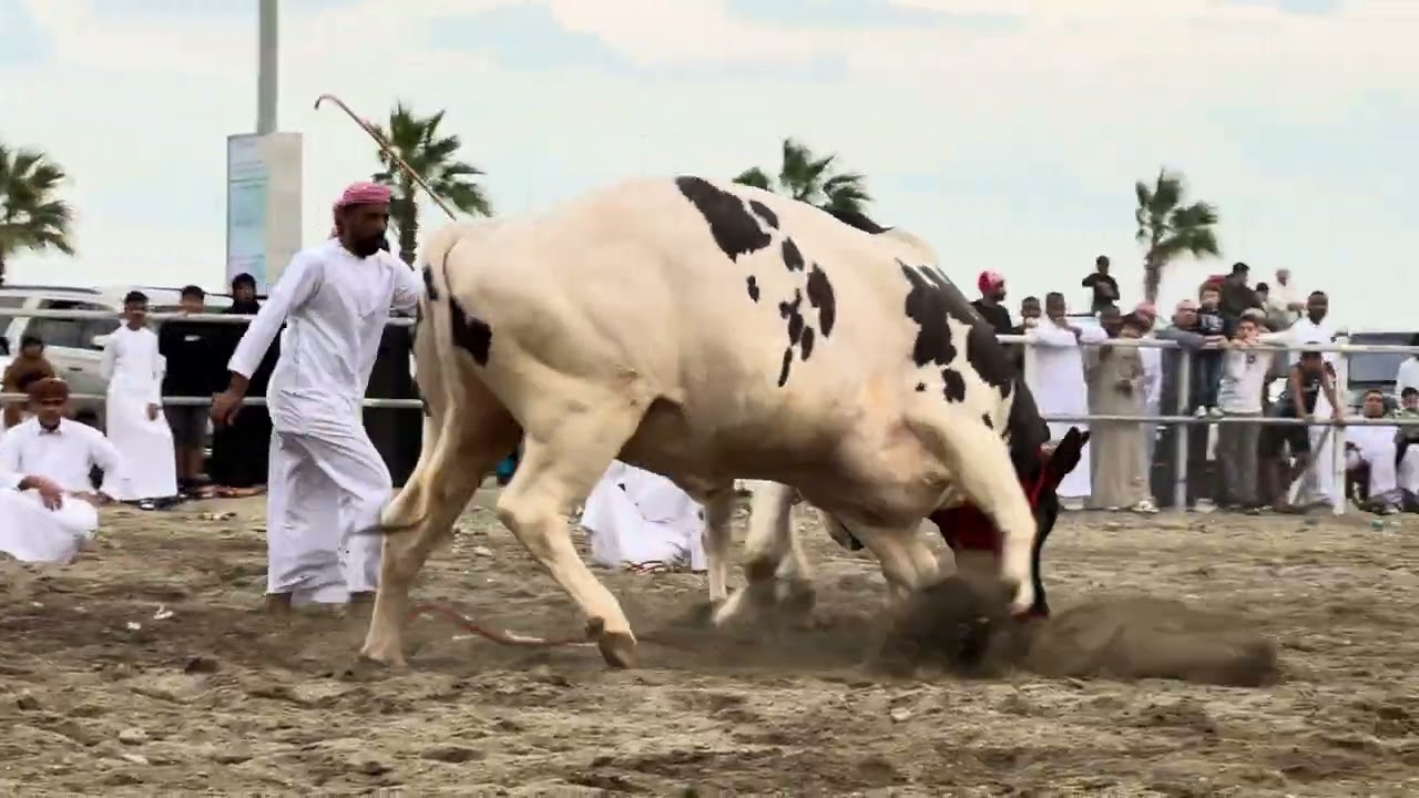 هياض و حصن الاتصالات 