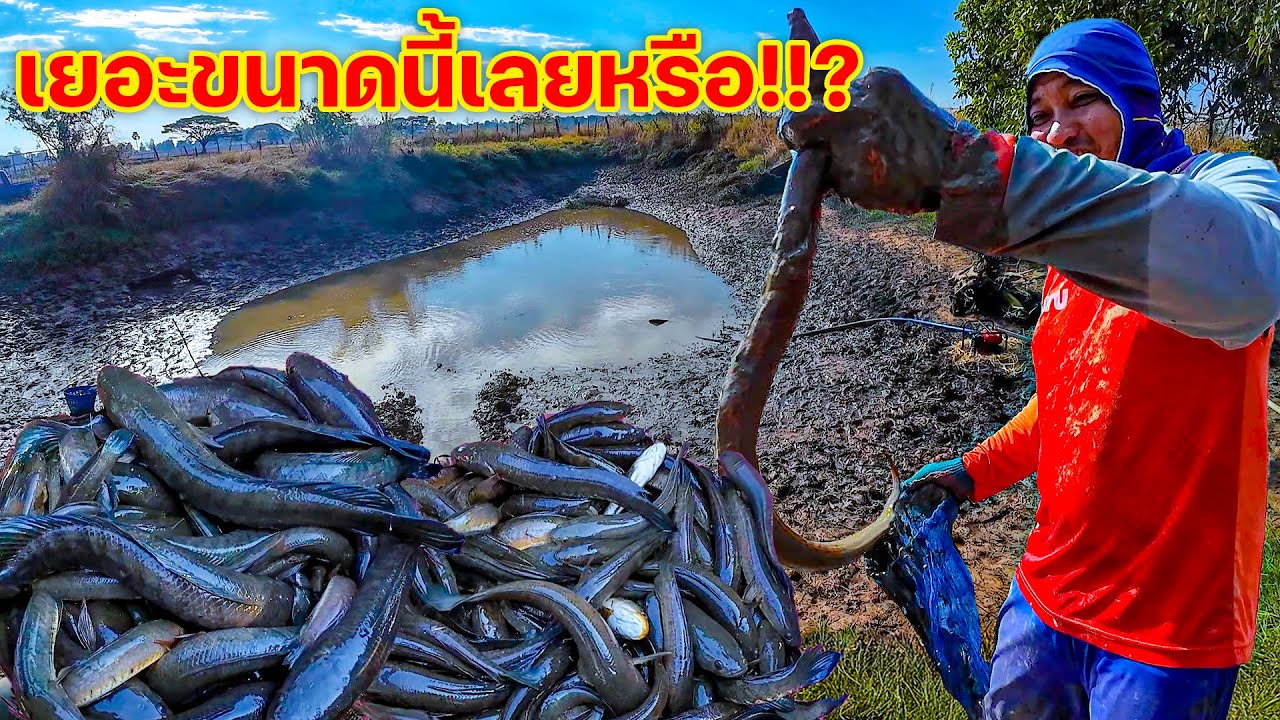 เหลือเยอะขนาดนี้เลยหรือ!!? เก็บตกปลาหมาย 5000 บาท