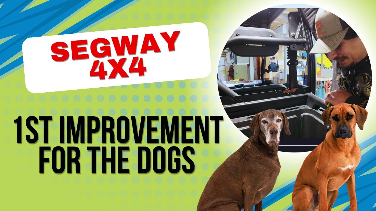 Segway Gets First Improvement for the Dogs