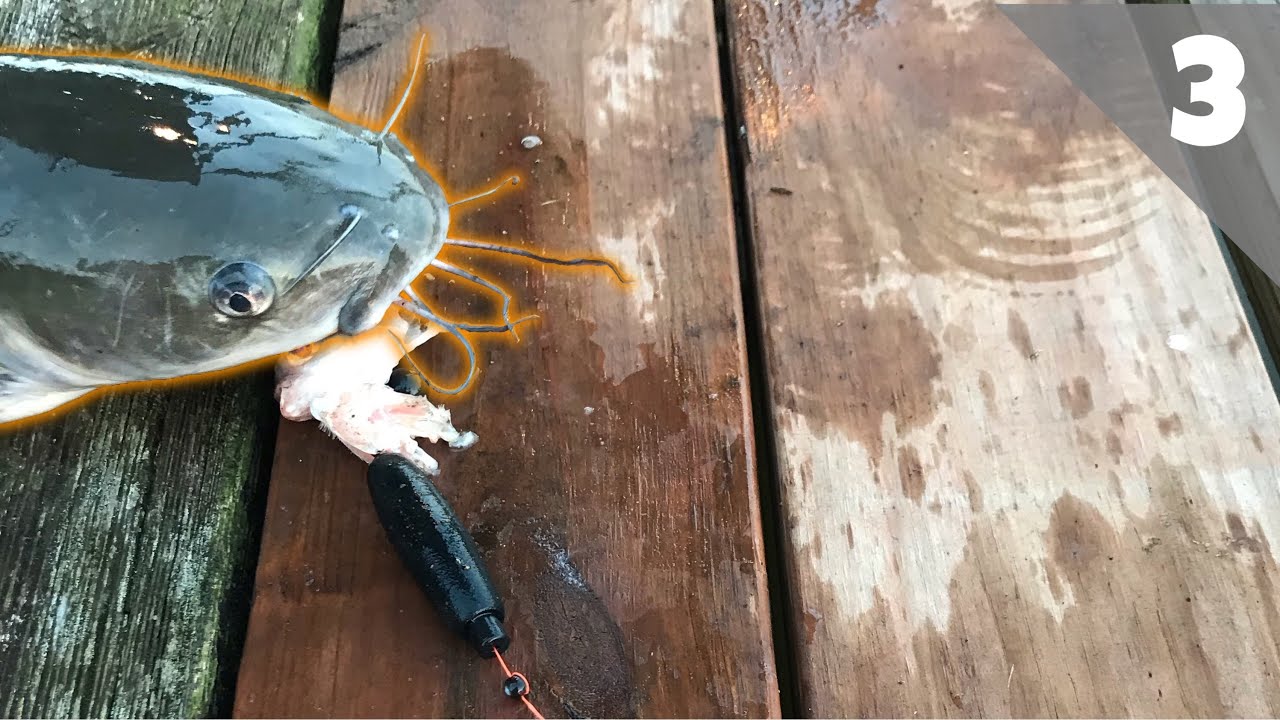Catfishing From A BOAT DOCK! - Lake Of The Ozarks