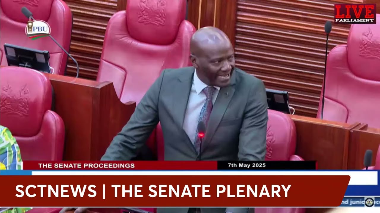 SCTNEWS: CS Education Ogamba Appears before the Senate Committee #live